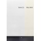 Bianco e ral 9010